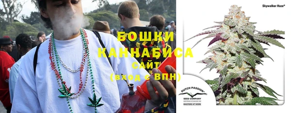 дурь Арсеньев